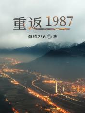 重返1987电视剧