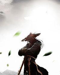 男主角秦放名字