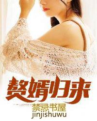 赘婿归来之都市之王