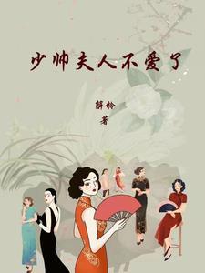 少帅夫人又去命案现场了免费
